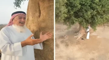 حقيقة علاقة الجن بشجر الظبر في جازان وتفسير تعرض المزارع للصواعق